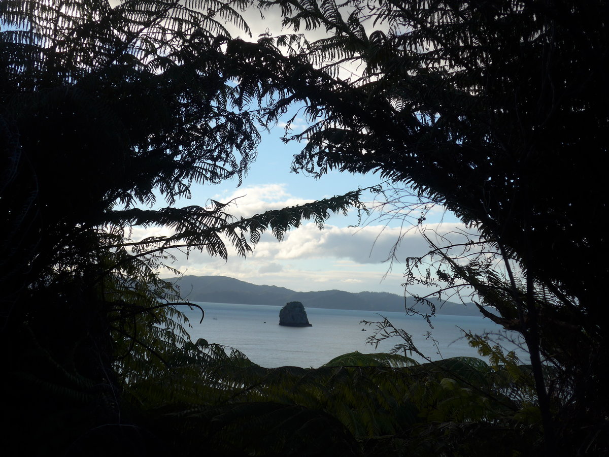 (190'596) - Insel durch die B�ume am 20. April 2018 in Hahei Beach