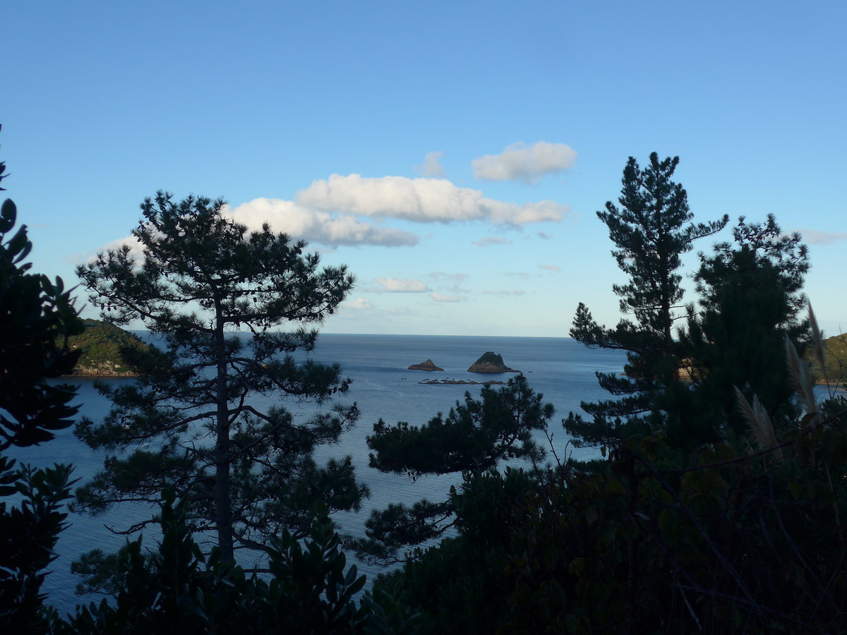 (190'597) - B�ume am 20. April 2018 in Hahei Beach