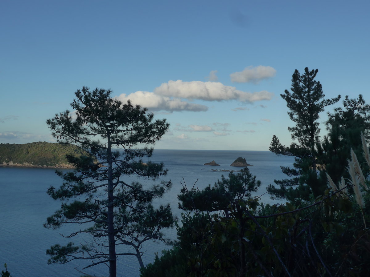 (190'598) - B�ume am 20. April 2018 in Hahei Beach