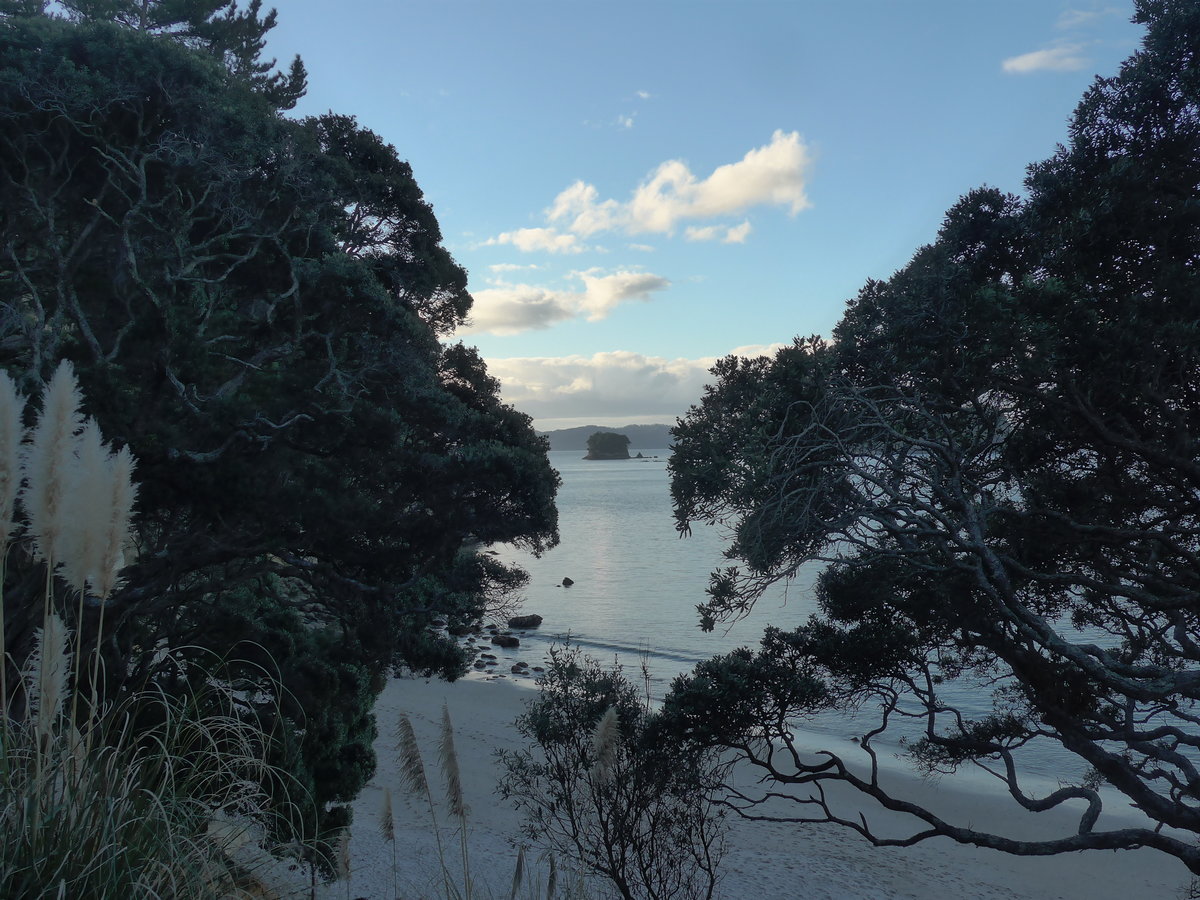 (190'599) - Insel und B�ume am 20. April 2018 in Hahei Beach