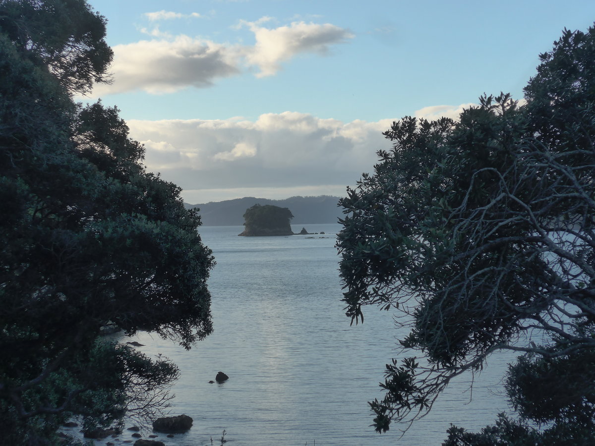 (190'600) - Insel und B�ume am 20. April 2018 in Hahei Beach