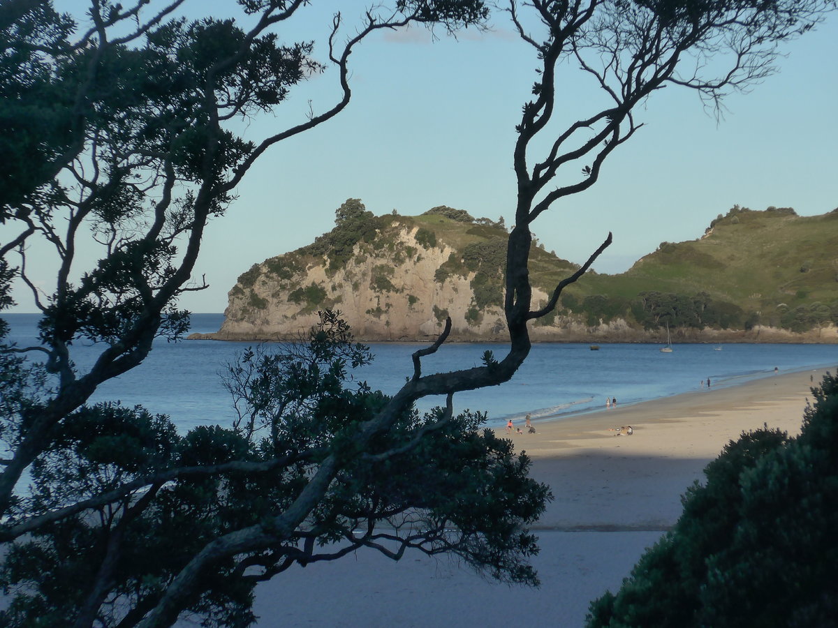 (190'602) - Baum und Felsen am 20. April 2018 in Hahei Beach