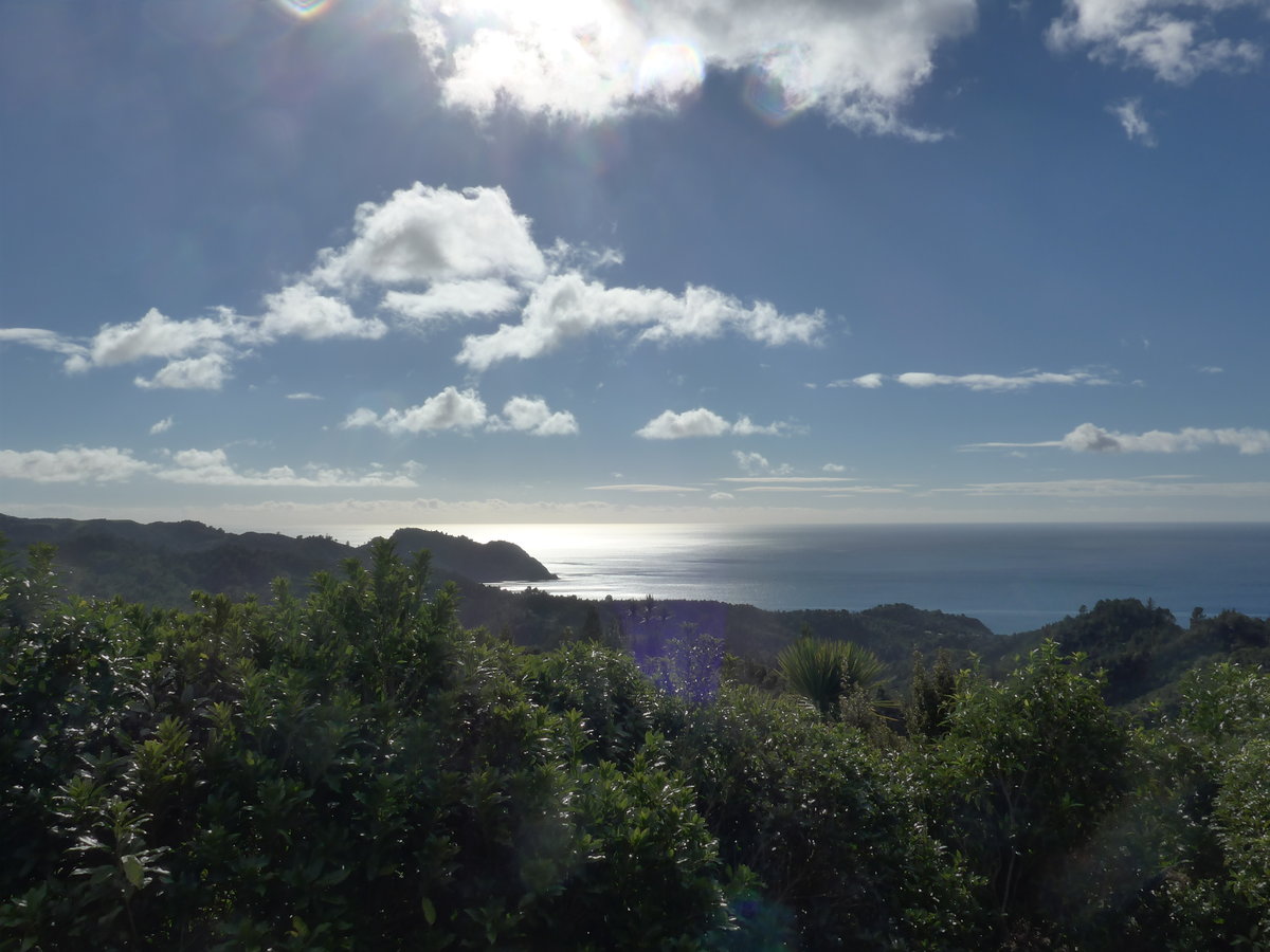 (190'613) - Landschaft am 21. April 2018 bei Tairua