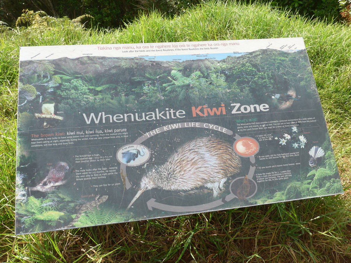 (190'614) - Hinweistafel auf Kiwi Zone am 21. April 2018 bei Tairua