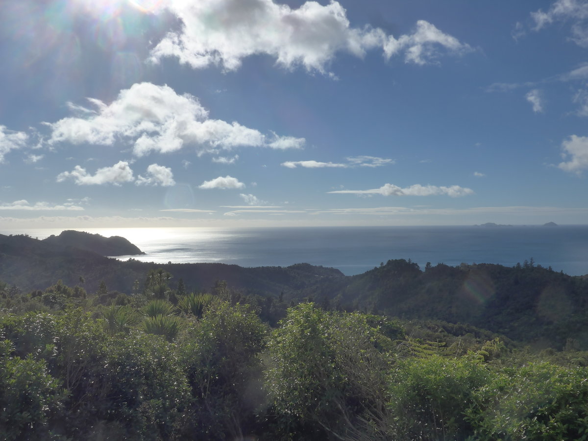 (190'616) - Landschaft am 21. April 2018 bei Tairua