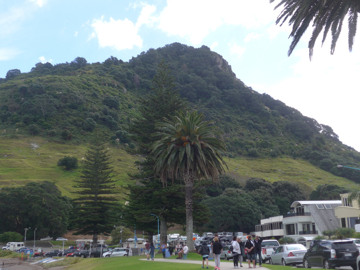 (190'659) - Der Mount Maunganui am 21. April 2018 bei Mauao
