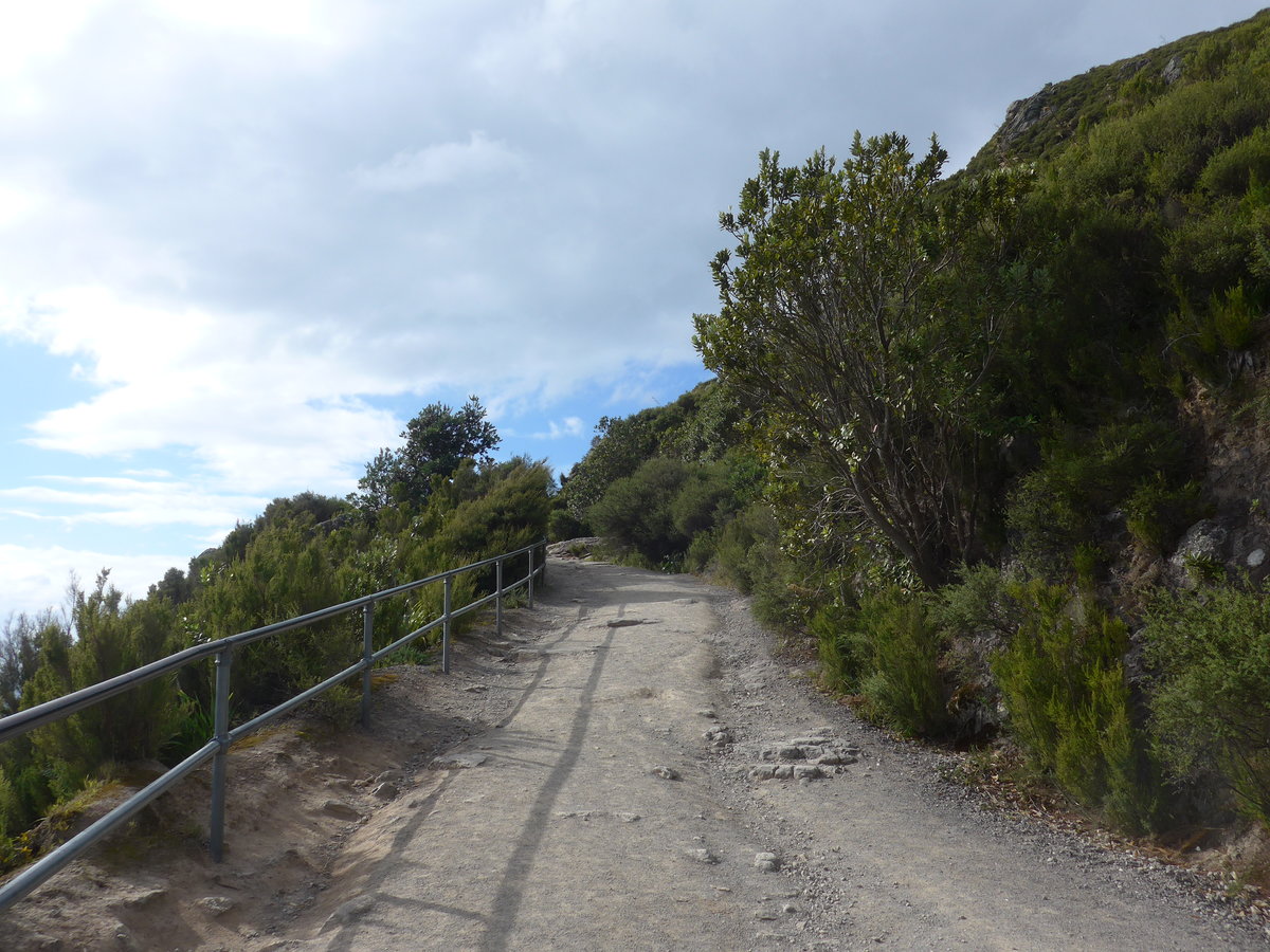 (190'685) - Weg am Mount Maunganui am 21. April 2018 bei Mauao