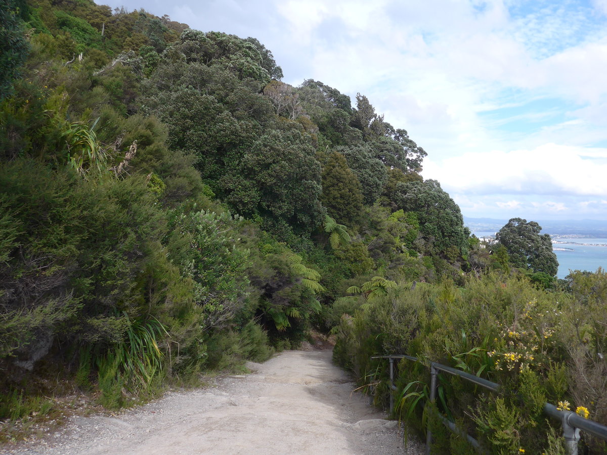 (190'686) - Weg am Mount Maunganui am 21. April 2018 bei Mauao