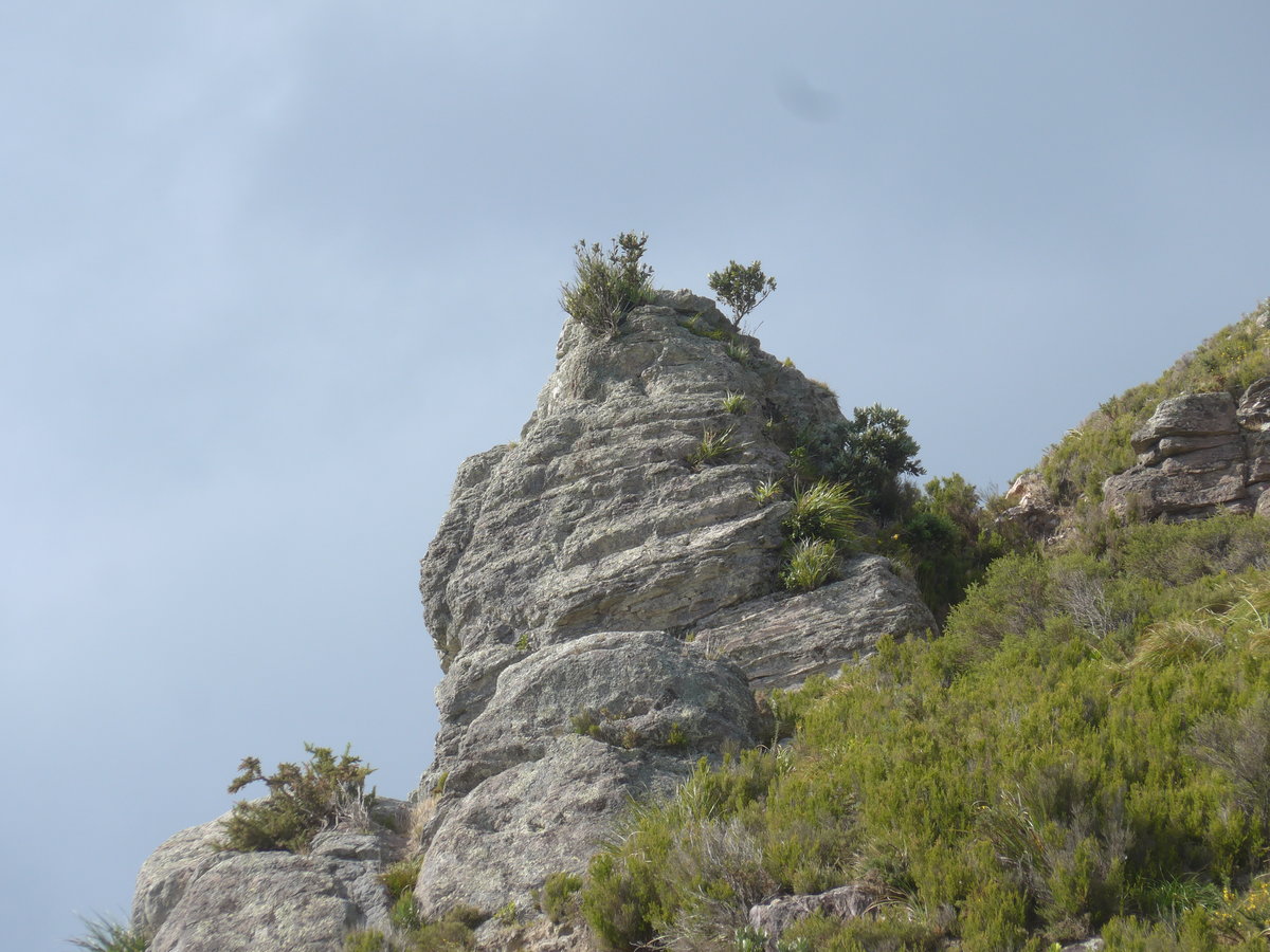 (190'700) - Felsen am Mount Maunganui am 21. April 2018 bei Mauao