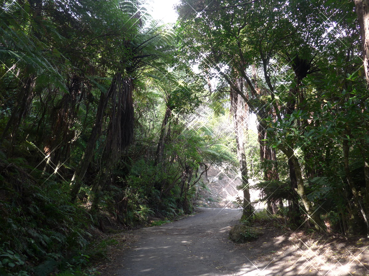 (190'703) - Weg am Mount Maunganui am 21. April 2018 bei Mauao