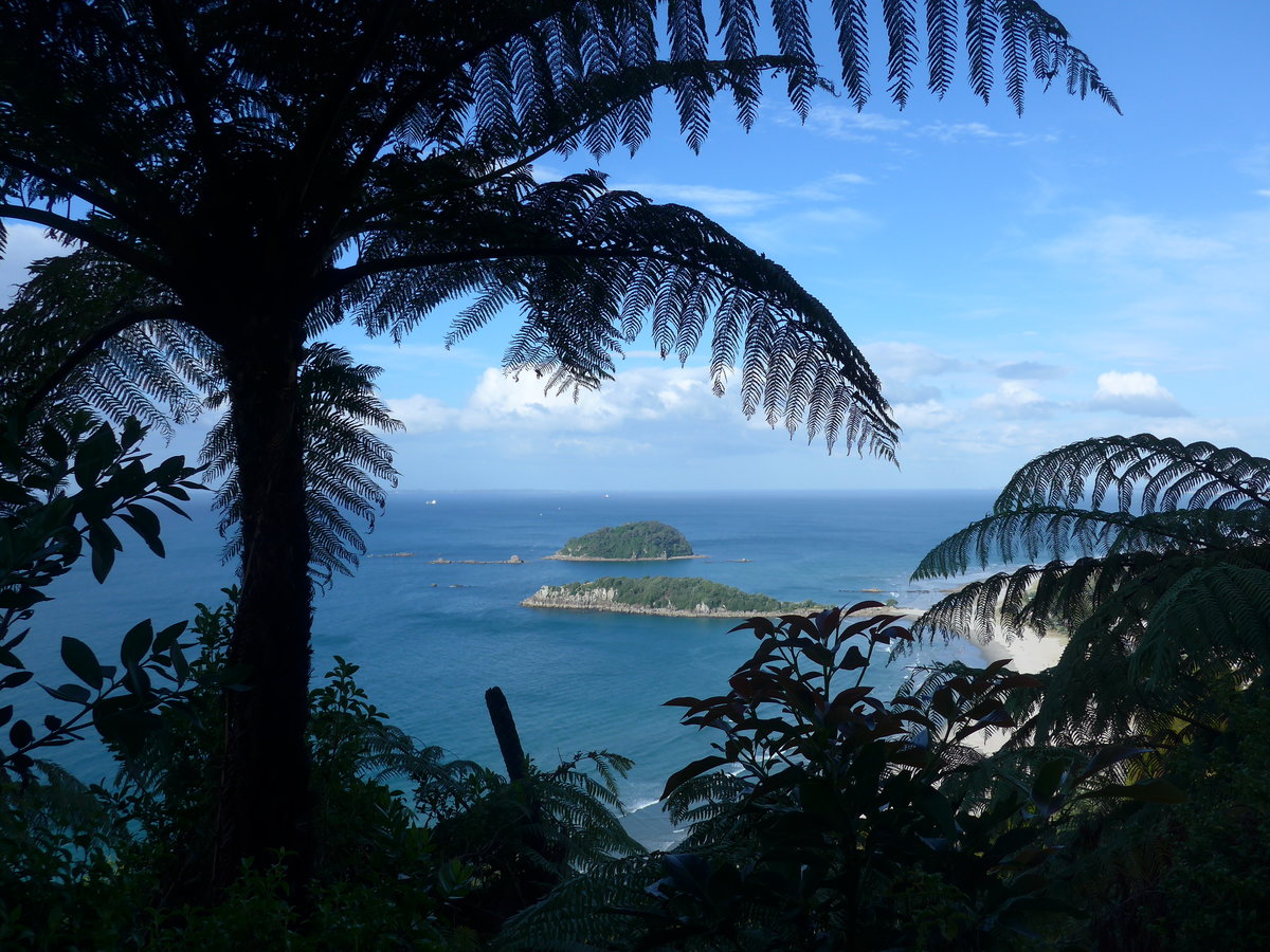 (190'754) - Baume am Mount Maunganui am 21. April 2018 bei Mauao