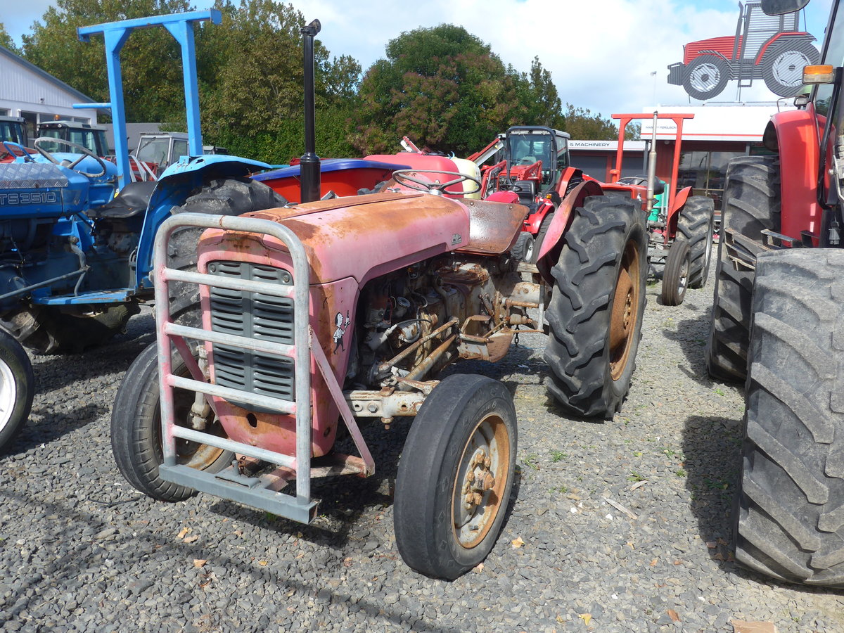 (190'815) - Ferguson am 22. April 2018 in Matamata