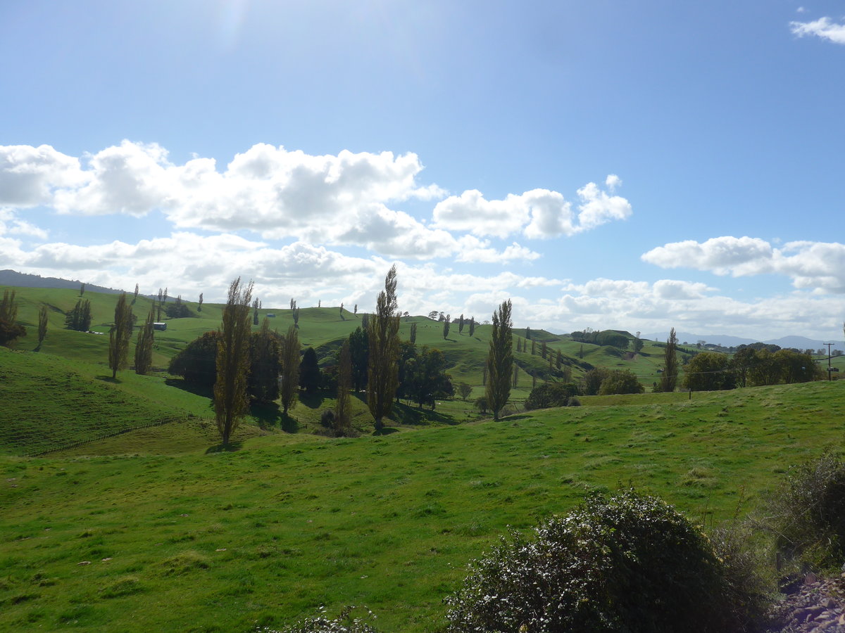 (190'846) - Landschaft am 22. April 2018 bei Hinuera