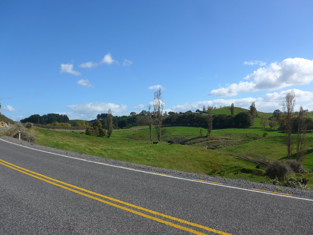 (190'849) - Strasse und Landschaft am 22. April 2018 bei Hinuera