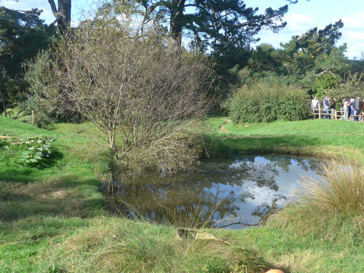 (190'891) - Baum und kleines Seelein im Hobbiton am 22. April 2018 bei Hinuera