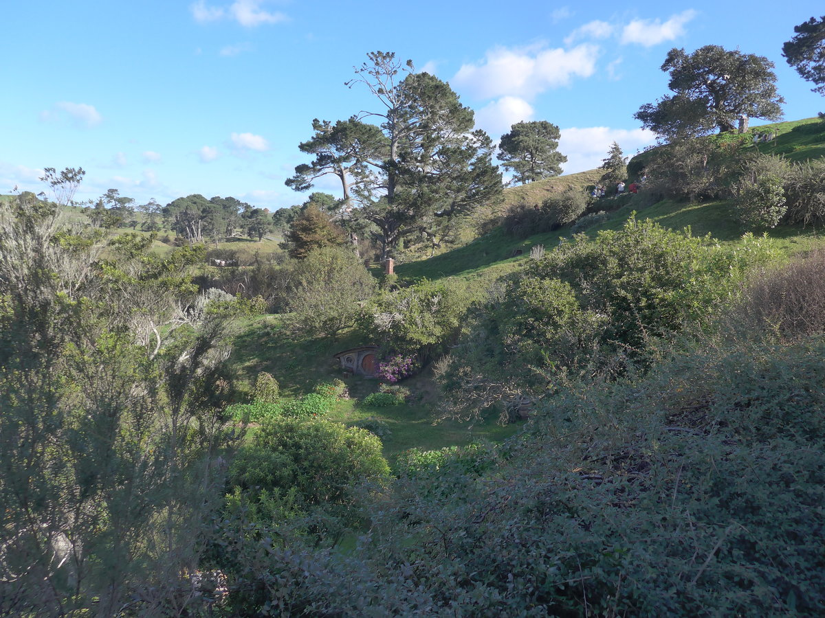 (190'905) - Hobbiton-Landschaft mit B�umen am 22. April 2018 bei Hinuera