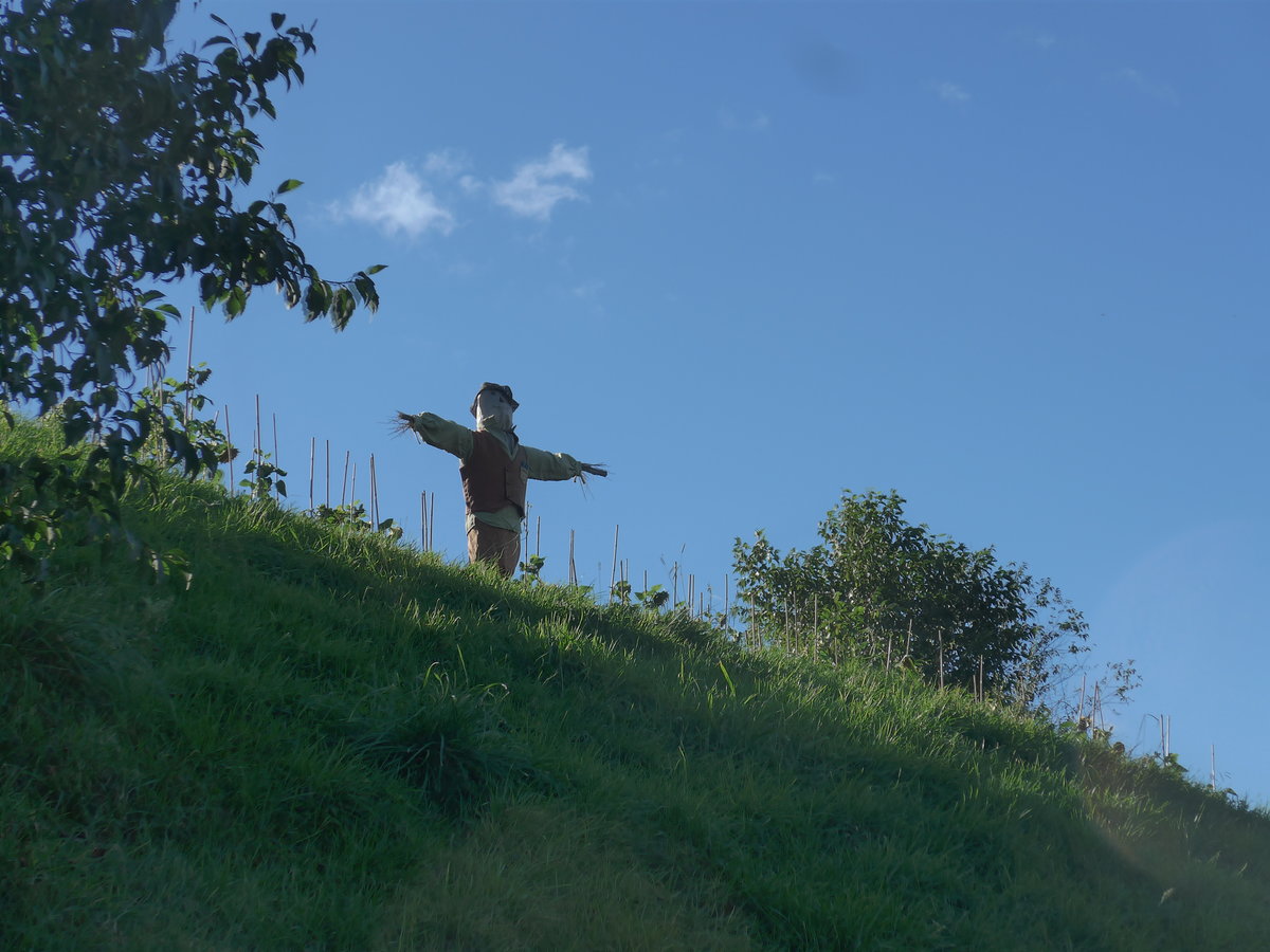 (190'916) - Vogelscheuche im Hobbiton am 22. April 2018 bei Hinuera