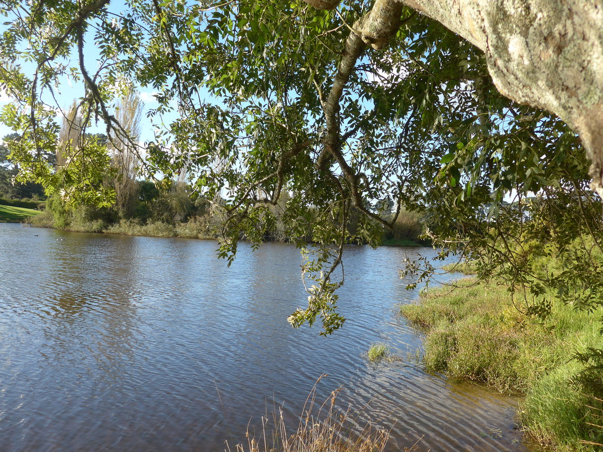 (190'973) - Seelandschaft im Hobbiton am 22. April 2018 bei Hinuera