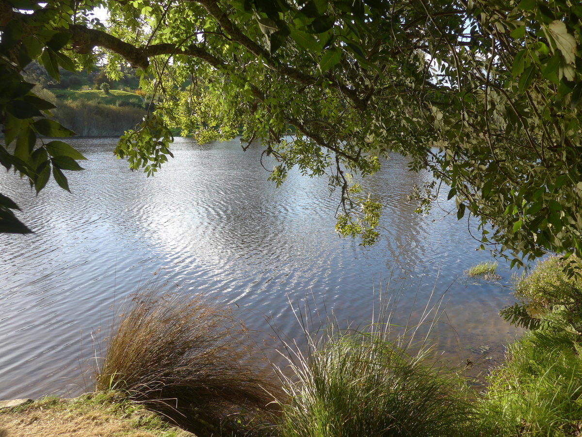 (190'975) - Seelandschaft im Hobbiton am 22. April 2018 bei Hinuera