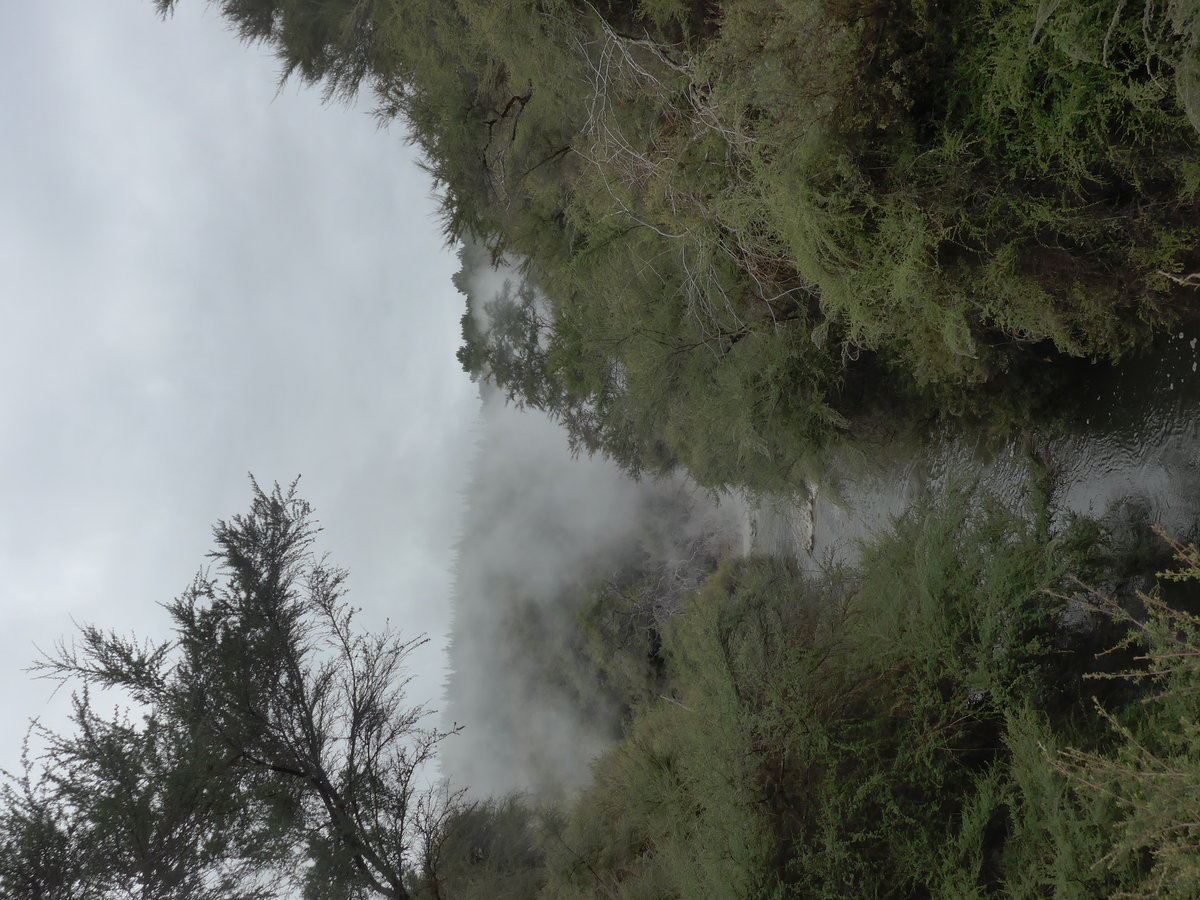 (191'018) - Im Wai-O-Tapu Thermal Wonderland am 23. April 2018 bei Rotorua