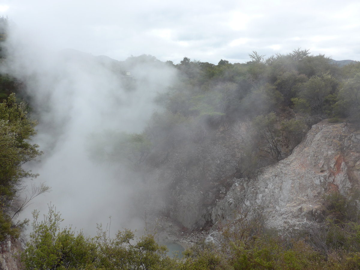 (191'021) - Im Wai-O-Tapu Thermal Wonderland am 23. April 2018 bei Rotorua