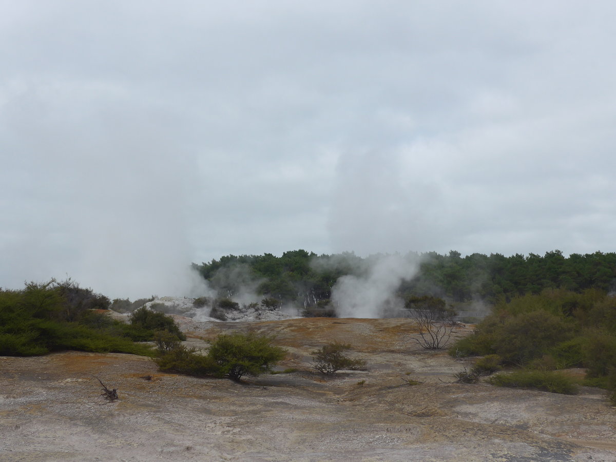 (191'026) - Im Wai-O-Tapu Thermal Wonderland am 23. April 2018 bei Rotorua