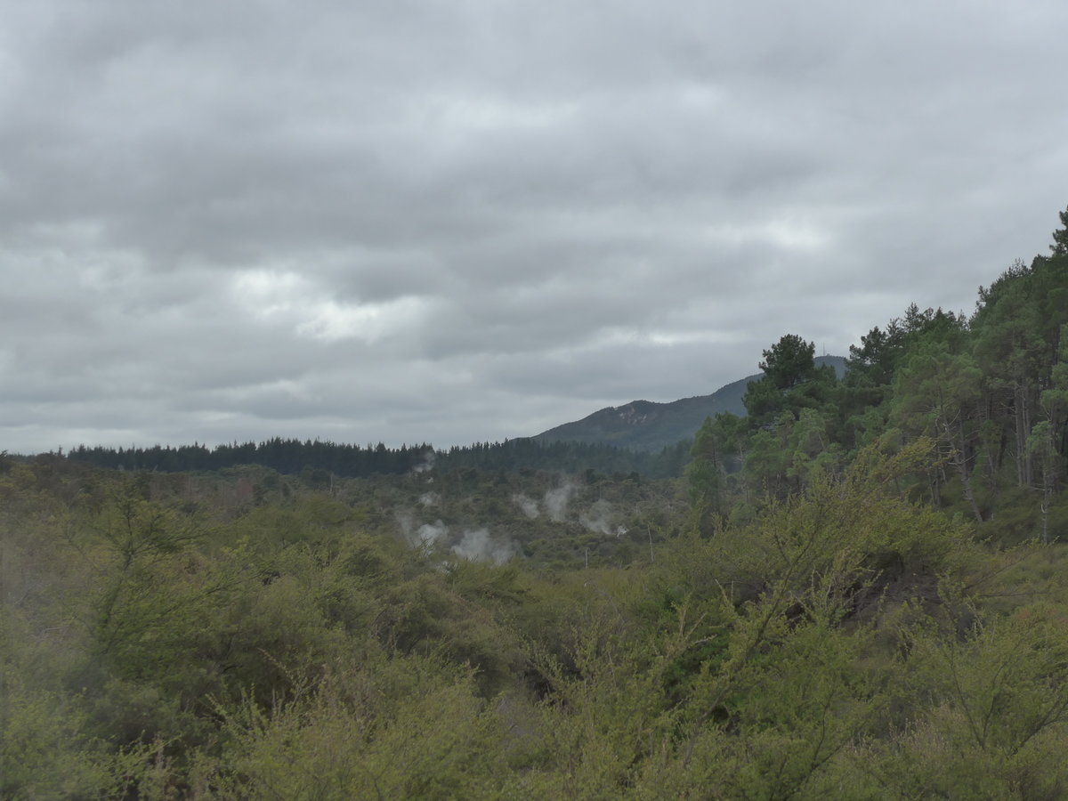 (191'031) - Im Wai-O-Tapu Thermal Wonderland am 23. April 2018 bei Rotorua