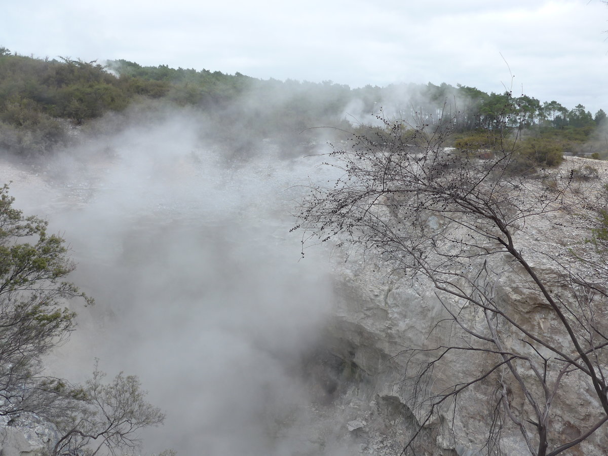 (191'038) - Im Wai-O-Tapu Thermal Wonderland am 23. April 2018 bei Rotorua