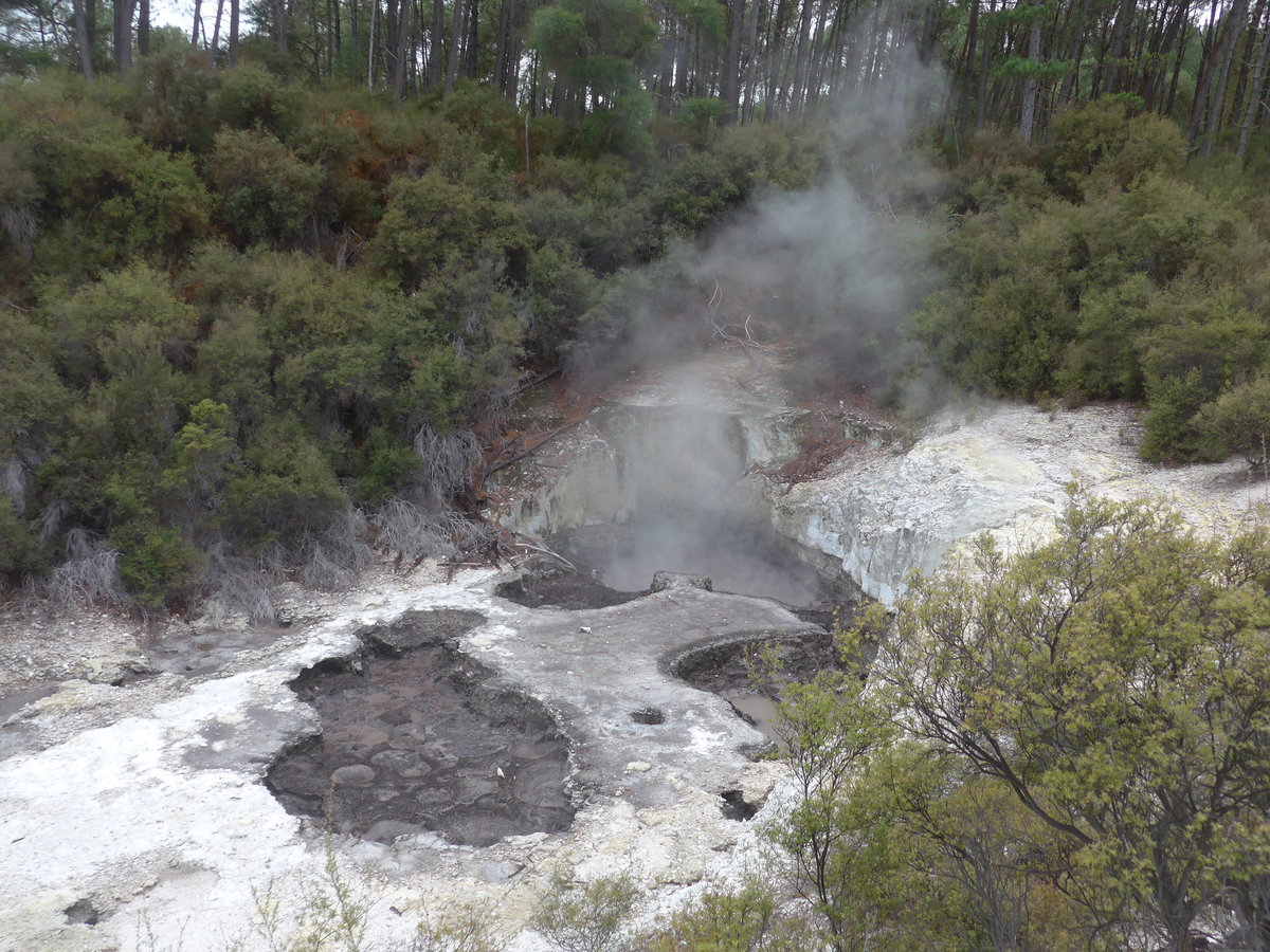 (191'046) - Im Wai-O-Tapu Thermal Wonderland am 23. April 2018 bei Rotorua