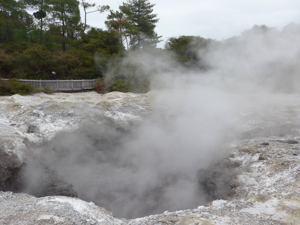 (191'052) - Im Wai-O-Tapu Thermal Wonderland am 23. April 2018 bei Rotorua