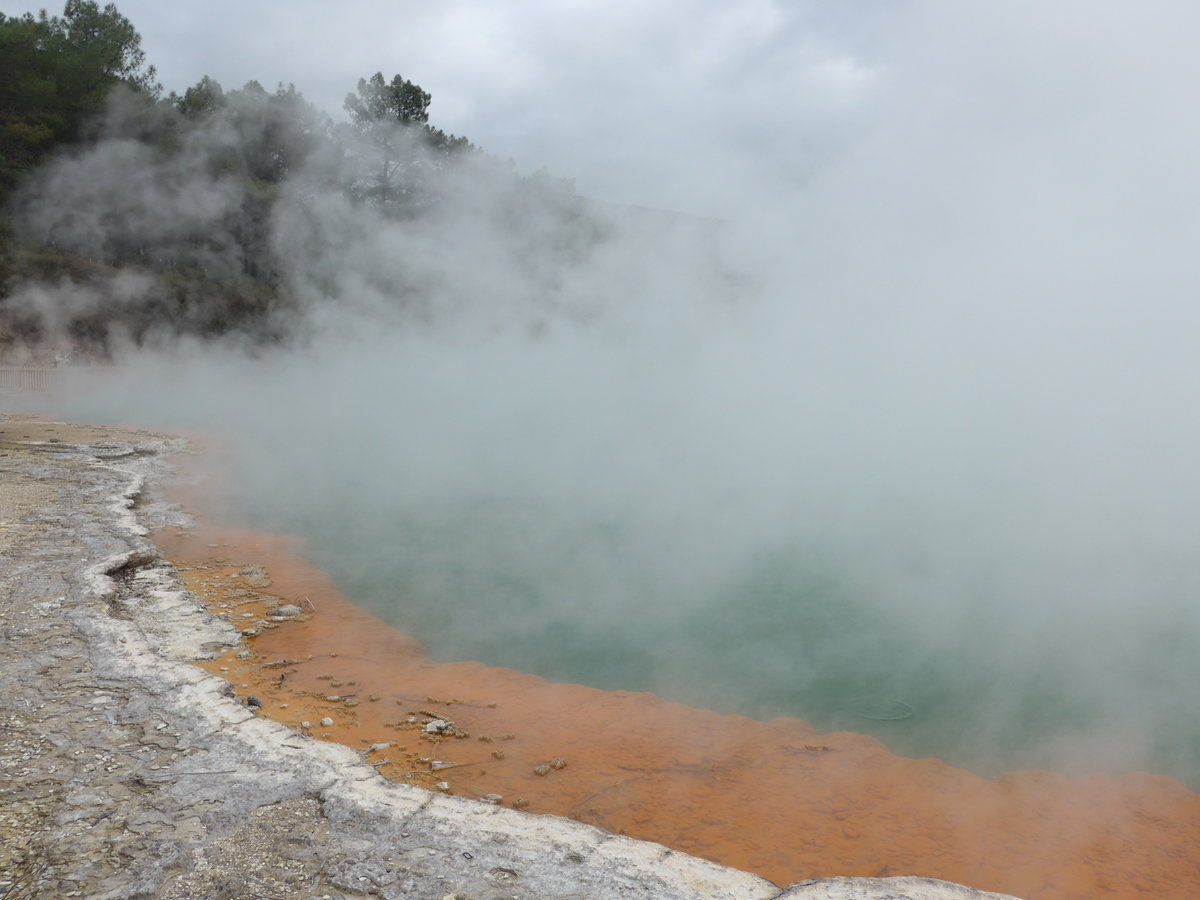 (191'070) - Der Champagne Pool im Wai-O-Tapu Thermal Wonderland am 23. April 2018 bei Rotorua