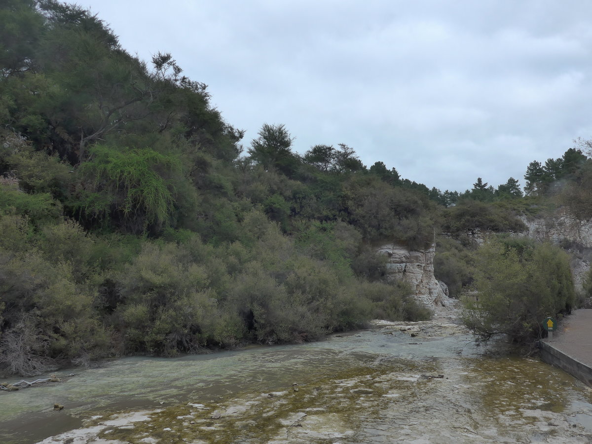 (191'096) - Bach im Wai-O-Tapu Thermal Wonderland am 23. April 2018 bei Rotorua