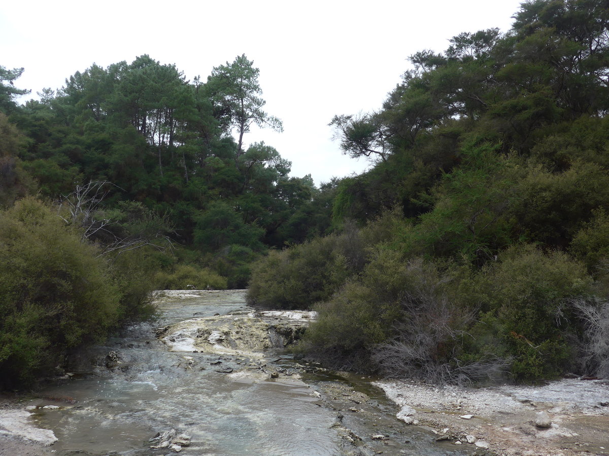 (191'102) - Bach im Wai-O-Tapu Thermal Wonderland am 23. April 2018 bei Rotorua