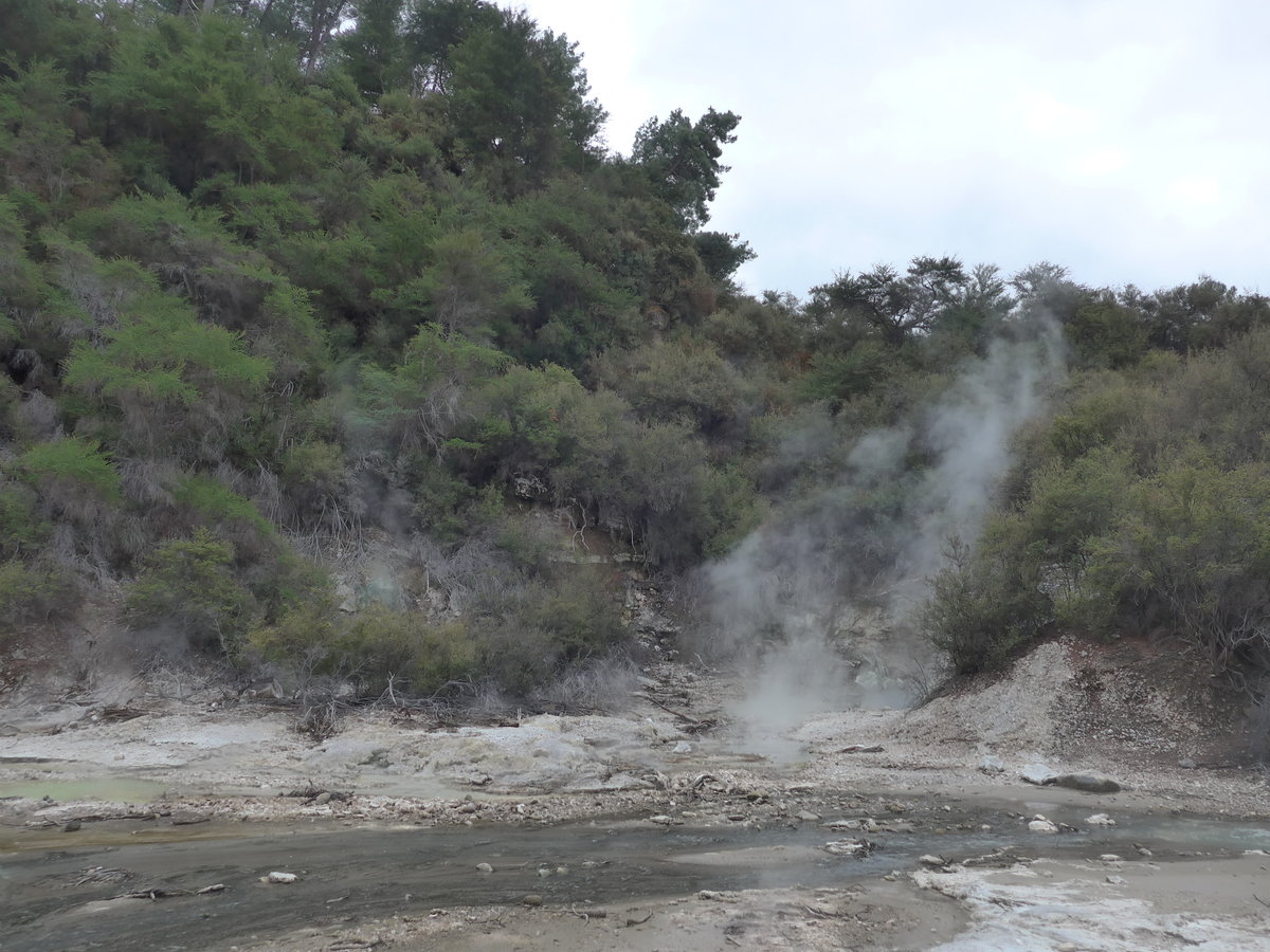 (191'103) - Im Wai-O-Tapu Thermal Wonderland am 23. April 2018 bei Rotorua