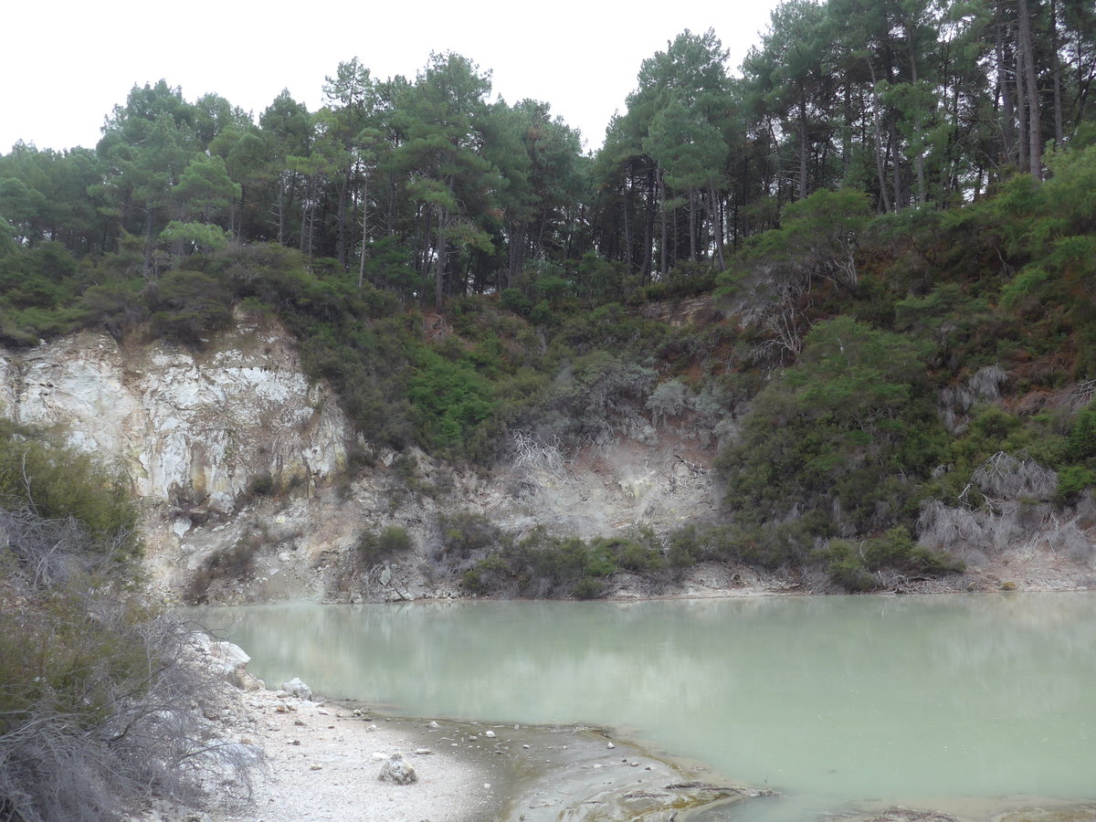 (191'112) - See und Felsen im Wai-O-Tapu Thermal Wonderland am 23. April 2018 bei Rotorua