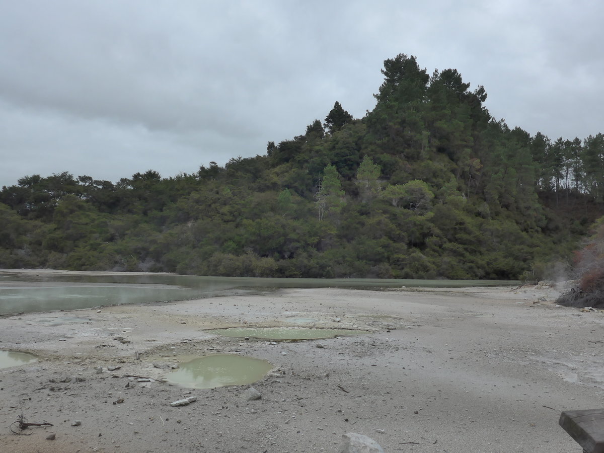 (191'115) - See im Wai-O-Tapu Thermal Wonderland am 23. April 2018 bei Rotorua
