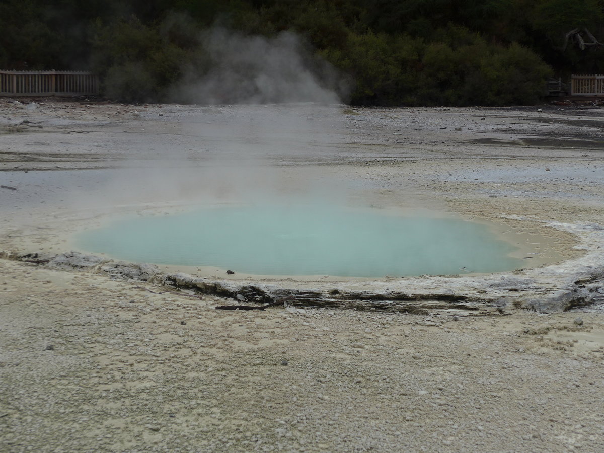 (191'124) - Der Oyster Pool im Wai-O-Tapu Thermal Wonderland am 23. April 2018 bei Rotorua