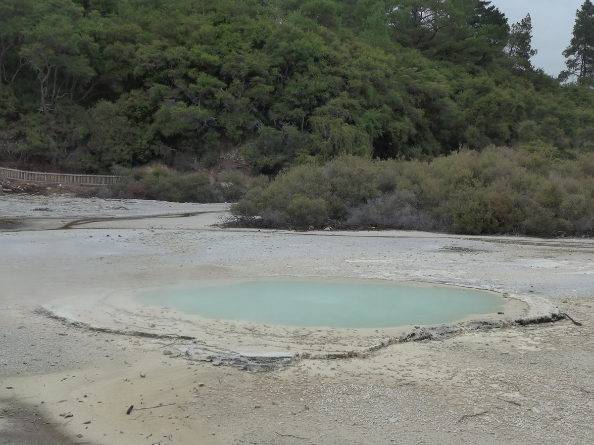 (191'126) - Der Oyster Pool im Wai-O-Tapu Thermal Wonderland am 23. April 2018 bei Rotorua