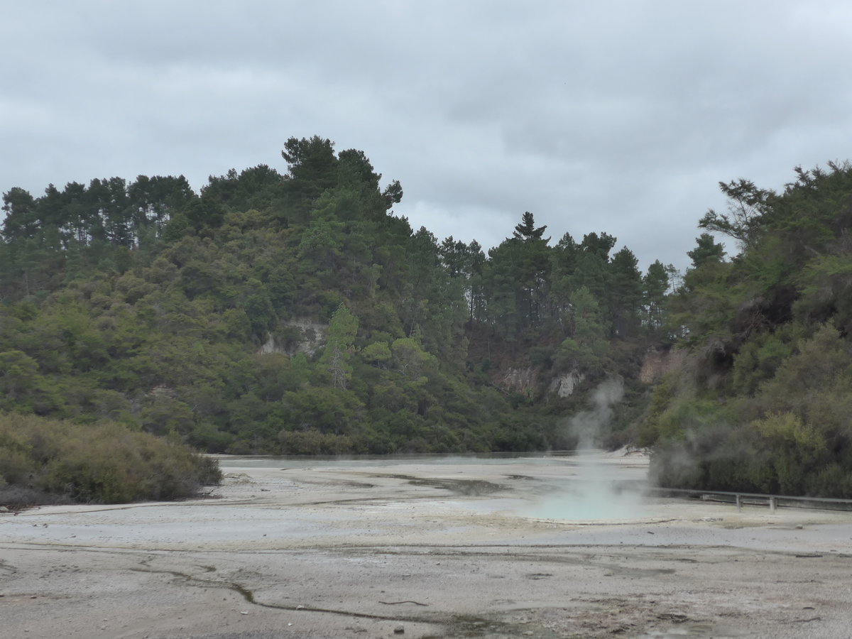 (191'130) - Im Wai-O-Tapu Thermal Wonderland am 23. April 2018 bei Rotorua