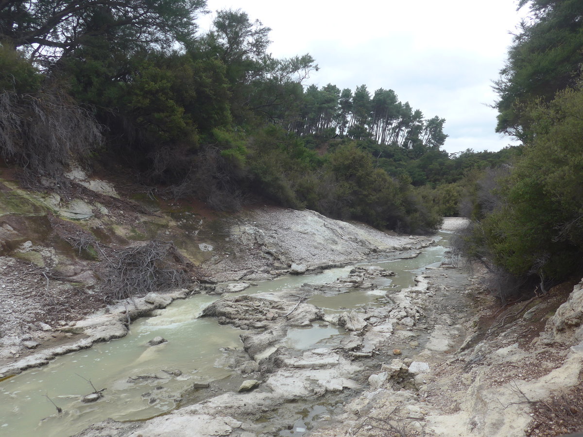 (191'151) - Bach im Wai-O-Tapu Thermal Wonderland am 23. April 2018 bei Rotorua