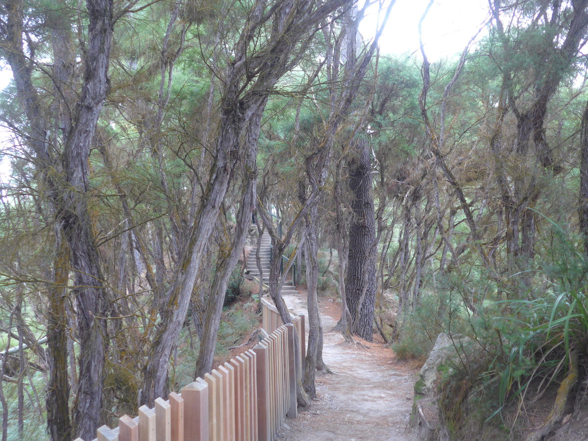 (191'160) - Weg im Wai-O-Tapu Thermal Wonderland am 23. April 2018 bei Rotorua