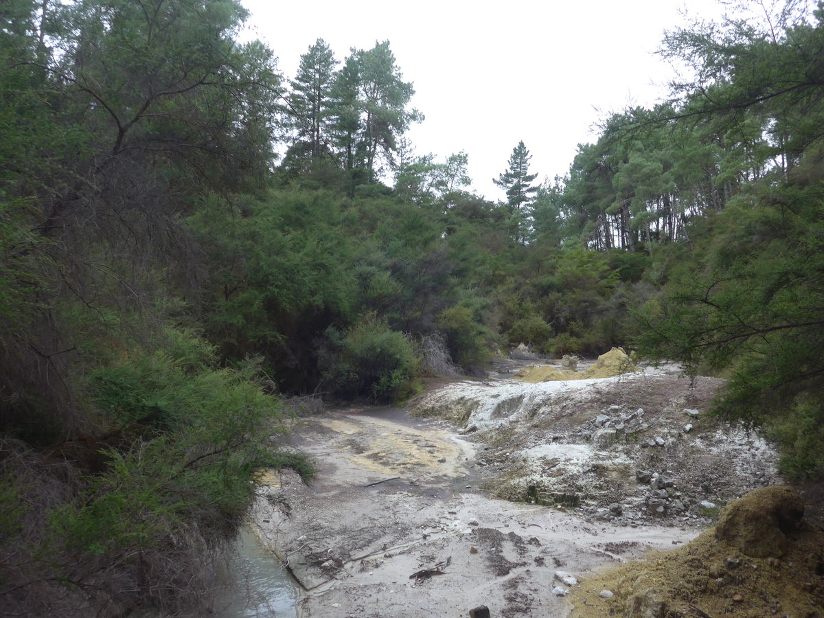 (191'162) - Im Wai-O-Tapu Thermal Wonderland am 23. April 2018 bei Rotorua