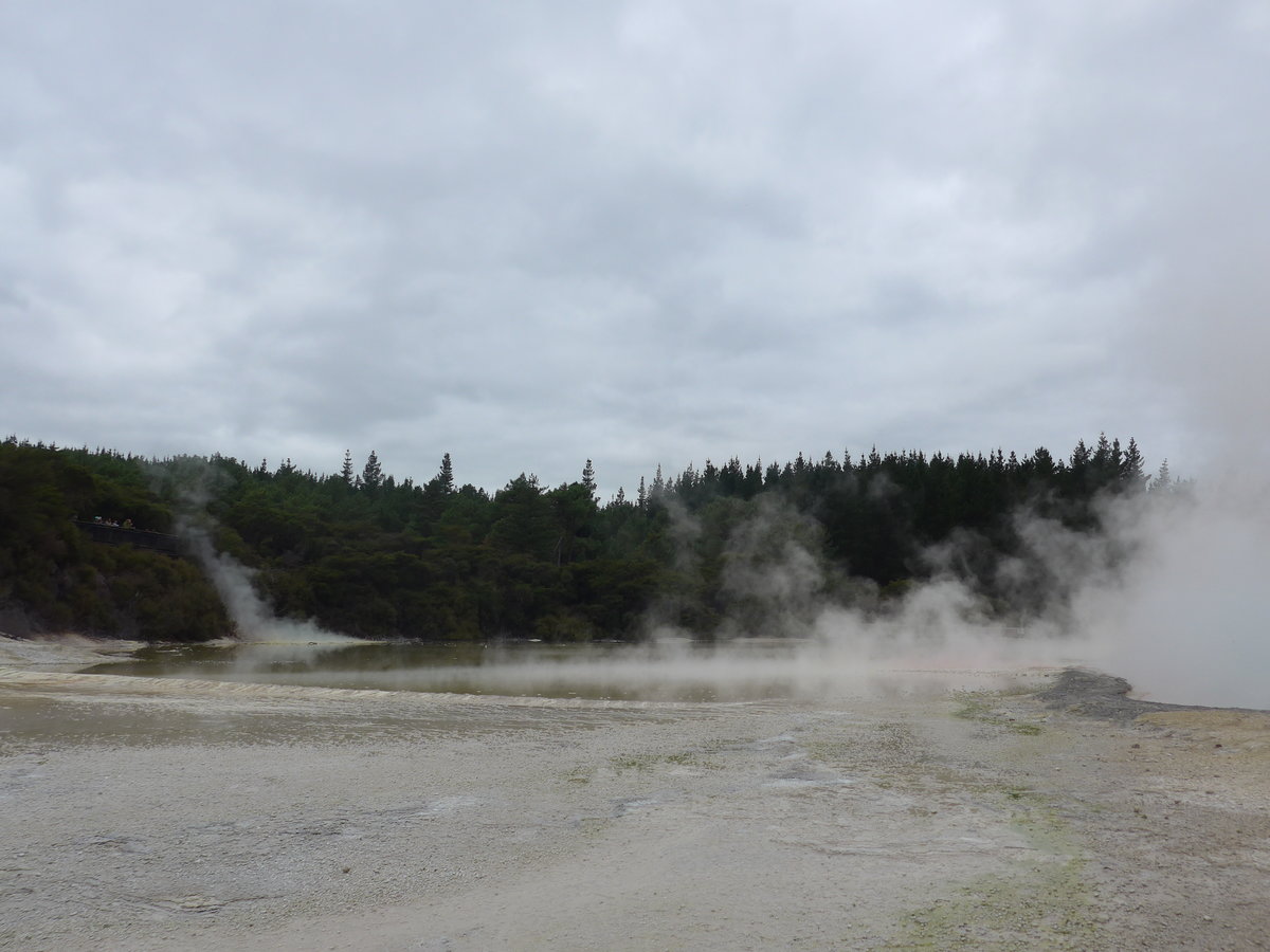 (191'170) - See im Wai-O-Tapu Thermal Wonderland am 23. April 2018 bei Rotorua