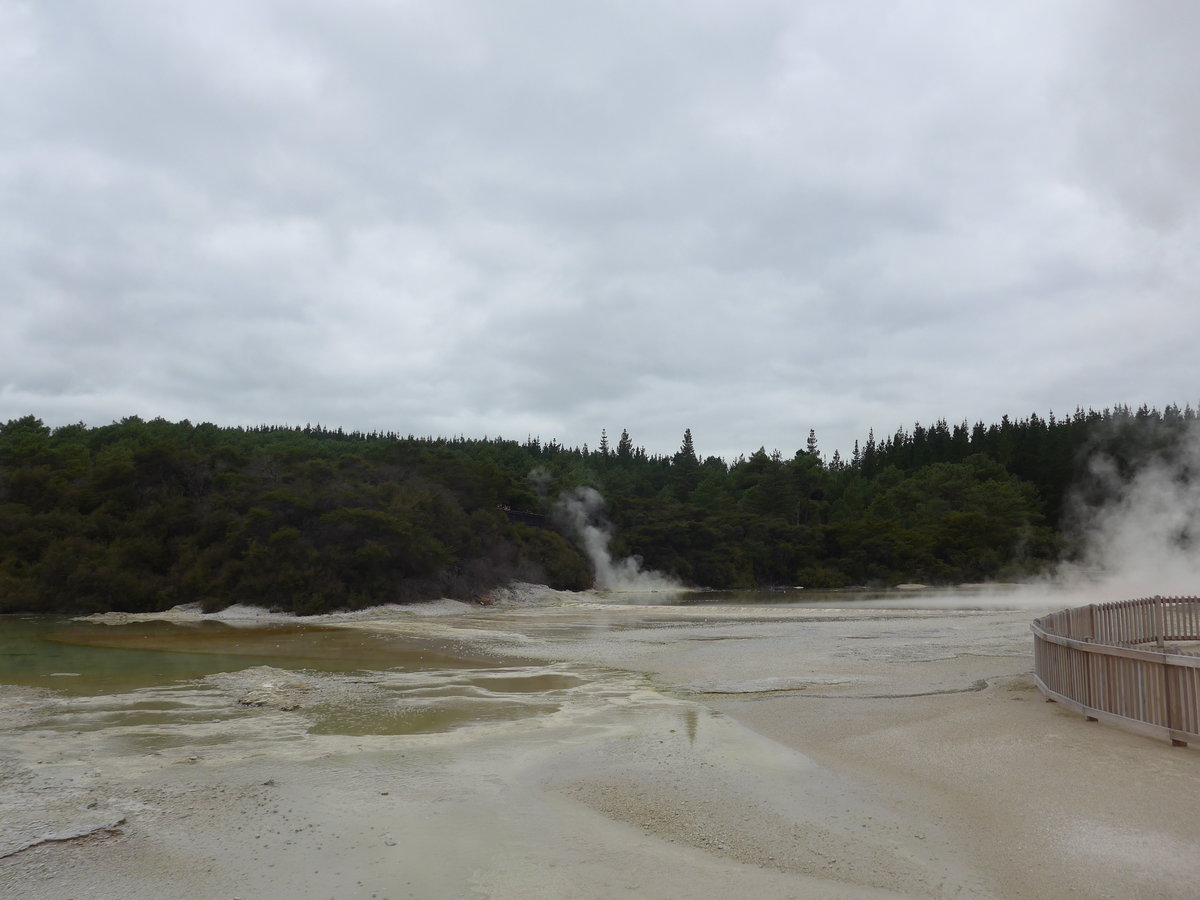 (191'171) - See im Wai-O-Tapu Thermal Wonderland am 23. April 2018 bei Rotorua