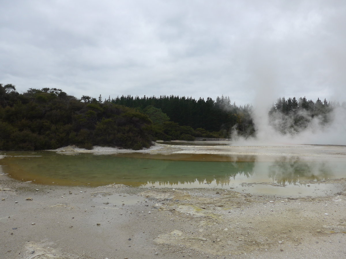 (191'174) - See im Wai-O-Tapu Thermal Wonderland am 23. April 2018 bei Rotorua