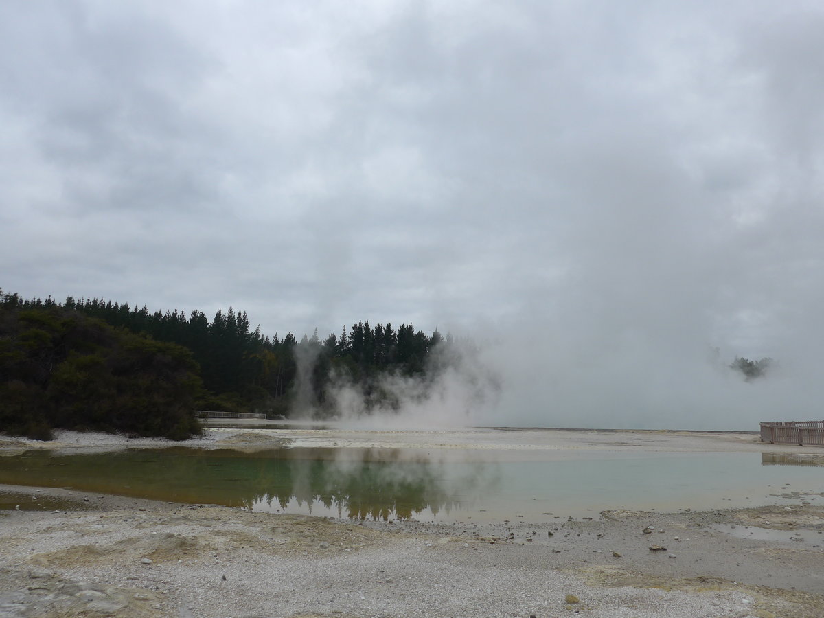 (191'175) - See im Wai-O-Tapu Thermal Wonderland am 23. April 2018 bei Rotorua