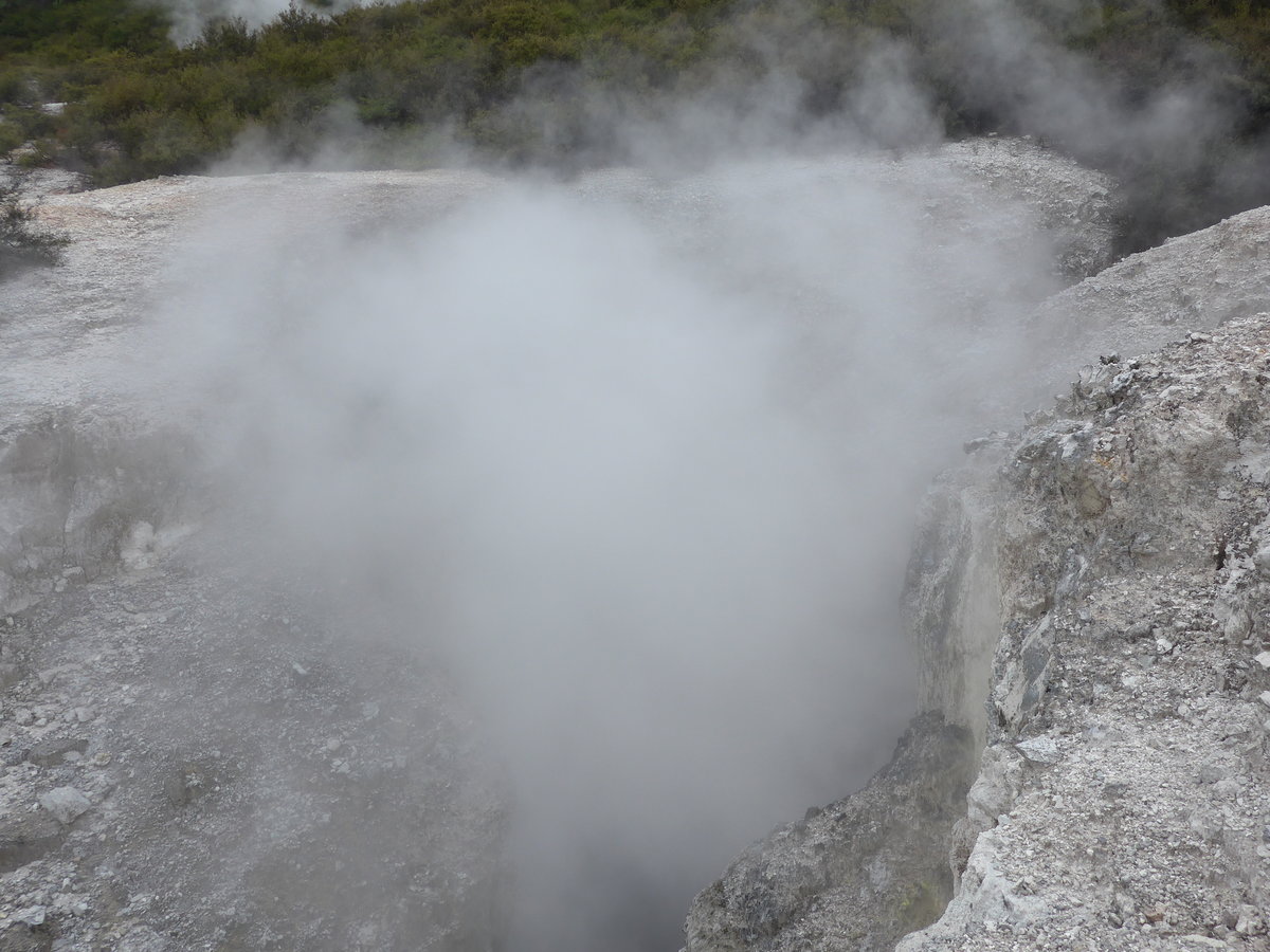 (191'178) - Im Wai-O-Tapu Thermal Wonderland am 23. April 2018 bei Rotorua