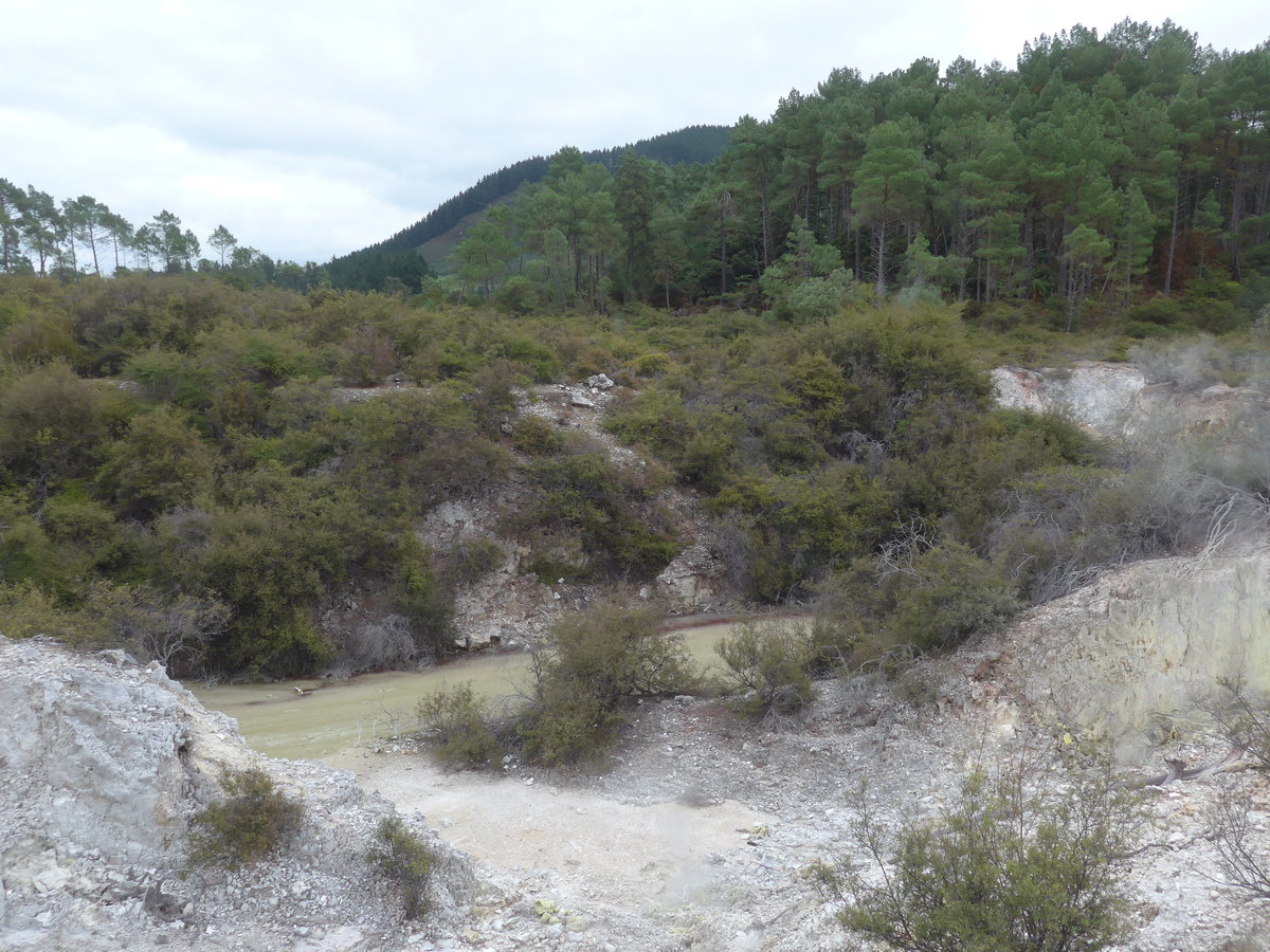 (191'183) - Fluss im Wai-O-Tapu Thermal Wonderland am 23. April 2018 bei Rotorua