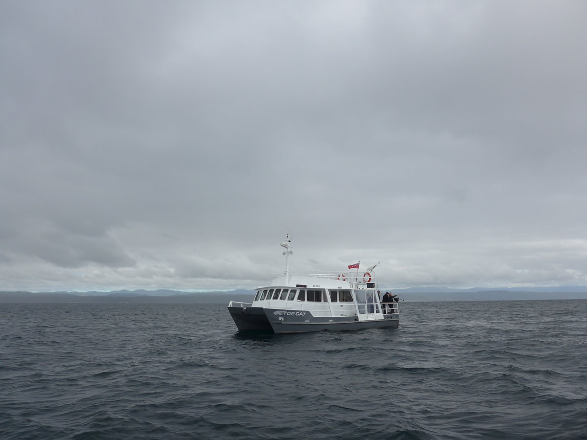 (191'243) - Motorschiff Top Cat auf dem Lake Taupo am 24. April 2018 bei Taupo
