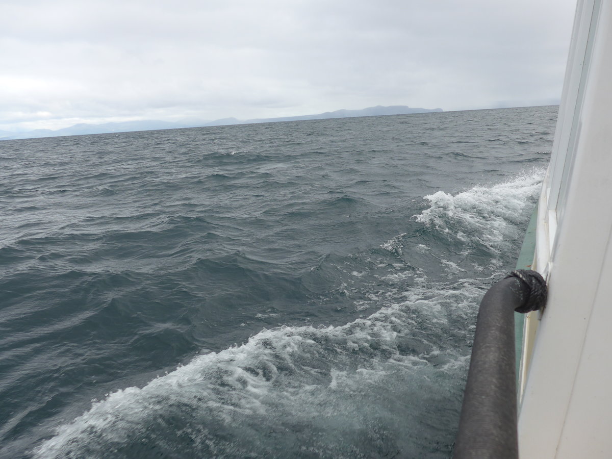(191'246) - Auf dem Lake Taupo am 24. April 2018 bei Taupo